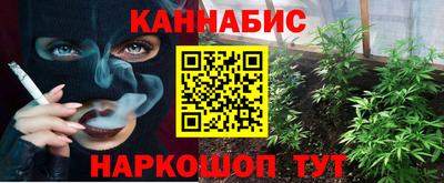 гашик Лесосибирск