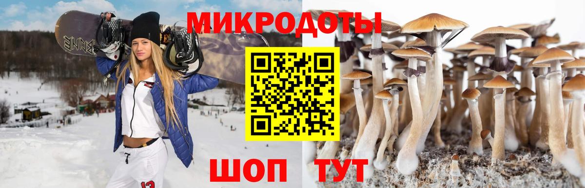 Галлюциногенные грибы MAGIC MUSHROOMS  как найти закладки  Гусь-Хрустальный  Вход с VPN 