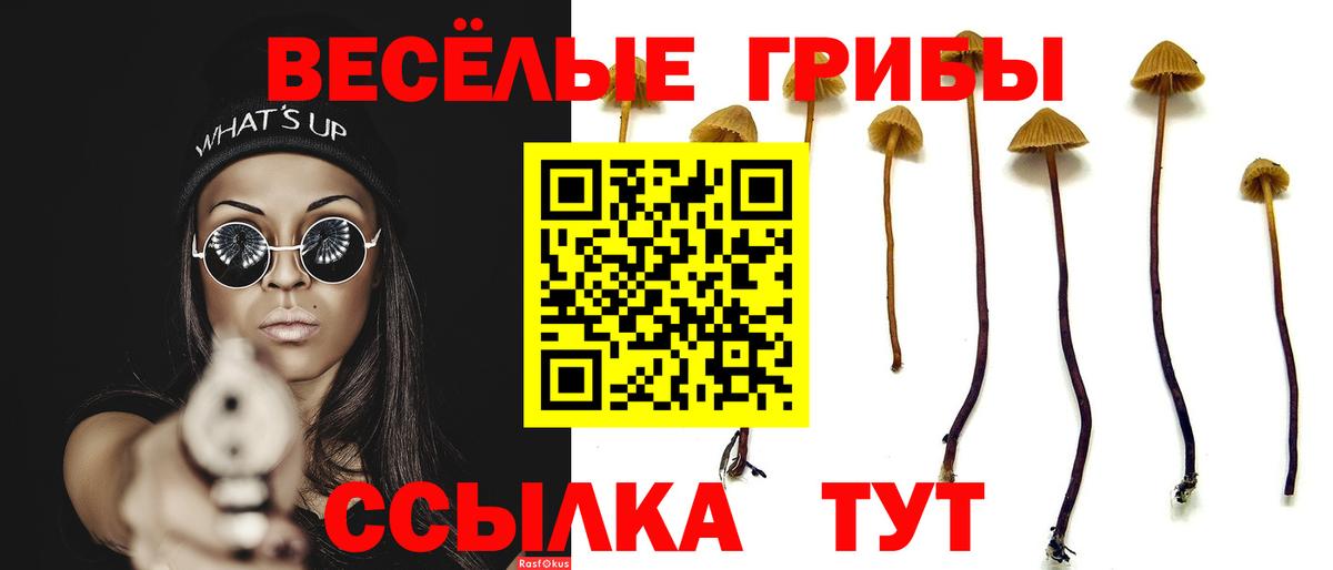 Псилоцибиновые грибы ЛСД Гусь-Хрустальный